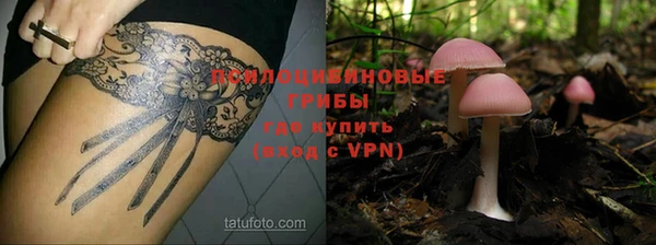 ешки Белоозёрский