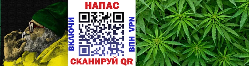 Каннабис SATIVA & INDICA  Всеволожск 